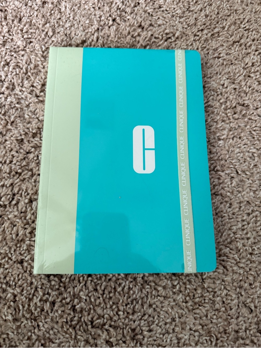 NWT Clinique | Teal and Mint Hold That Thought Notebook